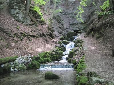 Heckentalquelle