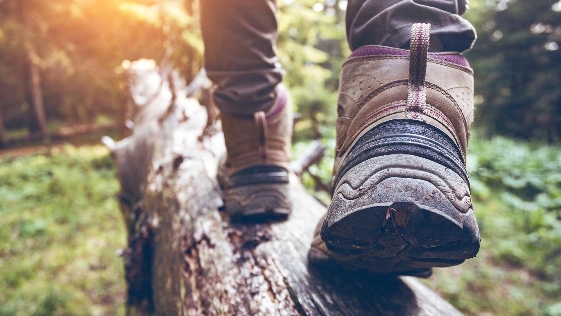 Wandern auf der <br>Schwäbischen Alb